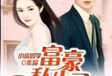 完结版《富豪私生子》章节阅读-干果文学