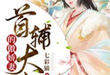 已完结小说《首辅大人的傲娇妻》最新章节-干果文学