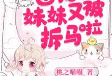 黎枝封奕的故事在哪本书里?免费阅读团宠妹妹又被拆马啦-干果文学