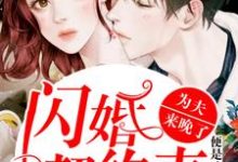 主角叫姜阮晏楚衍的小说在哪阅读-干果文学
