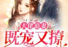 大佬追妻:既宠又撩还护短白婉婉原栎小说免费阅读-干果文学
