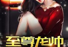 江川苏向晚小说叫什么(至尊龙帅免费阅读)-干果文学