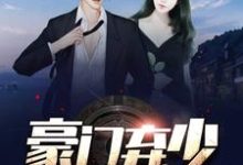 《豪门弃少》小说章节列表免费试读,苏晨孙小檀小说在线阅读-干果文学