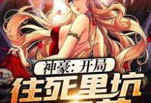 神豪:开局往死里坑白富美小说完结了吗?在哪里可以免费读到?-干果文学