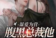 谋爱为营:腹黑总裁他把我宠上天秦南栀越九黎小说在线章节目录阅读最新章节-干果文学