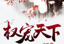 免费看权宠天下小说的网站有哪些?-干果文学