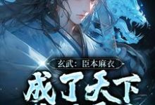 寻找玄武:臣本麻衣,成了天下锦绣霸主小说的最新更新章节-干果文学