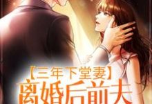 三年下堂妻,离婚后前夫悔不当初小说,三年下堂妻,离婚后前夫悔不当初免费阅读-干果文学
