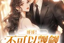 霍律师的掌上明珠这本小说在哪里可以看?哪里有免费试读章节?-干果文学