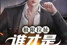阮梨清沈灼是哪本书的主角?寻找极限拉扯:谁才是爱情赢家免费阅读-干果文学