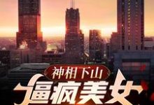已完结小说《神相下山,逼疯美女未婚妻》章节免费阅读-干果文学