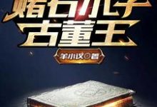 主人公叫陆明的小说哪里免费看-干果文学