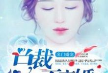 江斯年秦时秦月为主角的小说名门婚宠:总裁不离婚在线阅读-干果文学