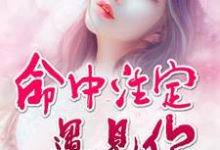 命中注定遇见你小说,命中注定遇见你在线阅读-干果文学