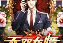 免费阅读秦川为主角的小说,无双龙婿在线看-干果文学