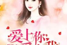 赵静静单昊天的故事在哪本书里?免费阅读爱上你爱上我-干果文学