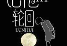 李金涛杜雨桐杨之丹杨瑛小说叫什么(记忆轮回免费阅读)-干果文学