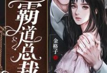哪里可以免费读到钟念初玄夜凌的完整故事?寻找小娇妻的霸道总裁-干果文学