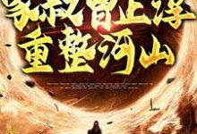 完结版《家叔曹正淳,重整河山》章节阅读-干果文学