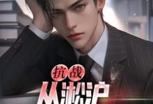 叶青山为主角的小说好看吗?免费读抗战:从淞沪保卫战开始-干果文学