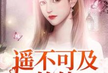 小说《遥不可及的他》在线章节阅读-干果文学