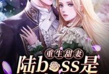 完整版的重生甜妻:陆boss是宠妻狂魔小说在哪里可以免费读到?-干果文学
