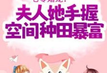 傅晓沈轻舟为主角的小说叫什么?免费看七零婚宠!夫人她手握空间种田暴富-干果文学