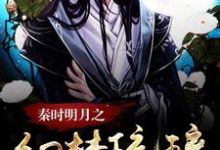 嬴政紫璃胡亥为主角的小说好看吗?免费读秦时明月之幻梦琉璃-干果文学