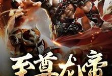 至尊龙帝章节免费在线阅读,林霄完结版-干果文学