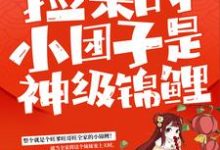 捡来的小团子是神级锦鲤小说阅读,捡来的小团子是神级锦鲤完结版-干果文学