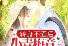 苏辰顾伶依为主角的小说好看吗?免费读转身不爱后,小青梅竟当众表白-干果文学