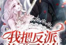 主角叫时绎苏晗落小说我把反派养成了老公章节免费阅读-干果文学