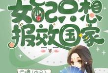 男女主人公章序陆屿小说快穿之女配只想报效国家章节免费阅读-干果文学