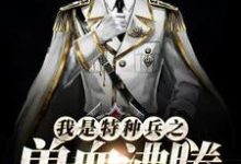完结版《我是特种兵之兽血沸腾》在线免费阅读-干果文学