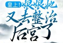 完结版《皇上!娘娘她又去整治后宫了》章节目录在线阅读-干果文学