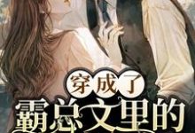 完结版《穿成了霸总文里的苦情女主》章节阅读-干果文学