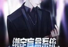 小说《绑定盲盒系统,穷屌丝也能变首富》章节阅读-干果文学