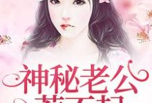 完结版《神秘老公惹不起》免费阅读-干果文学