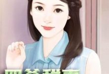 四爷甜妻疯狂宠小说全文阅读需要付费吗?寻找免费资源-干果文学