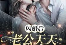 闪婚后,老公天天让我生二胎!这本小说完结了吗?免费查看最新章节-干果文学