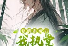 觉醒系统后,我执掌生死簿无敌了(张道临)在线免费阅读-干果文学