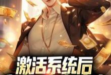 激活系统后,我成了超级富豪秦风,激活系统后,我成了超级富豪最新章节-干果文学