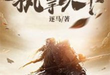 长孙朔季棉秦冠陈广为主角的小说叫什么?免费看执掌天下-干果文学