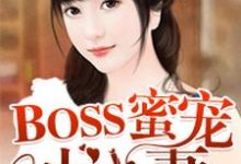 BOSS蜜宠小小妻小说全文哪里可以免费看?-干果文学