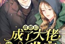 离婚后,成了大佬的心尖宠(沈卿意傅尧琛)在线免费阅读-干果文学
