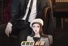 林天万子欣的完整故事在哪里?读离婚后,前妻跪求我复婚小说-干果文学