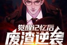 陈路小说在线章节免费阅读(觉醒记忆后,废渣逆袭都市神医无弹窗无删减)-干果文学