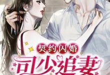 小说《契约闪婚:司少追妻火葬场》章节免费阅读-干果文学
