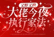又野又撩,大佬今夜执行家法最新章节,又野又撩,大佬今夜执行家法免费阅读-干果文学