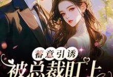 哪里能找到蓄意引诱!被总裁盯上的日日夜夜小说的全部章节?-干果文学